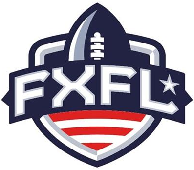 FXFL 2014 Unused Logo iron on transfers for clothing